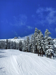 View of the snow covered ski slope at Kirkwood Mountain on a sunny winter day with vibrant blue skies