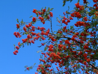 Rando d'Egliseneuve d'Entraigues au lac de la Fage