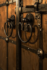 metal handles on wooden doors