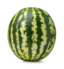 Ripe green watermelon