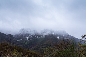 fog in the mountains