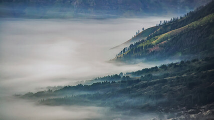 a sea of fog in the valley