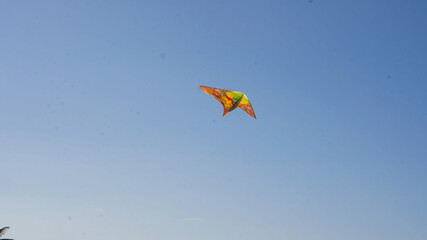 kite in the sky