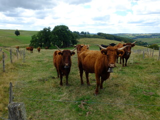 Rando d'Egliseneuve d'Entraigues au lac de la Fage