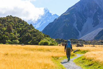 Hike in New Zealand mountains