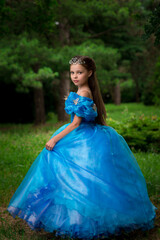 Beautiful little girl in a feiry princes dress