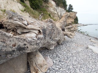 white chalk cliffs at rugen coast in gernany