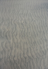Fototapeta na wymiar beach sand close up, nature background