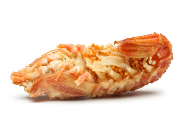 Spiked shrimp-bear (Sclerocrangon salebrosa)