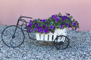 a bouquet of purple flowers stands in a florist bike 