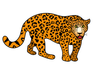 Leopard. Cartoon style. Vectot illustration isolated.