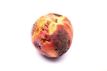 A spoiled rotten peach isolated on a white background. Unhealthy food. Close up image.