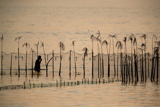 BUSAITEEN, BAHRAIN - SEPTEMBER 21: Fishermen collecting fishes from traditional fishing net Hadrah installed at Busiateen coastduring low tide at sunset, Bahrain on 21 September, 2019