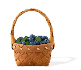 Fototapeta na wymiar The full basket of the blueberries (Vaccinium uliginosum) is isolated on the white background.
