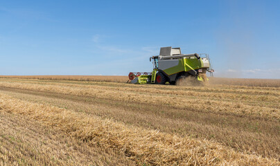 Obraz premium Stoppelfeld mit Strohreihen und einem erntendem Mähdrescher vor blauem Himmel
