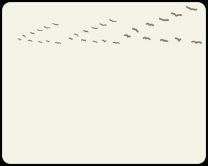 illustration of a sheet of paper with a pen, scenery view of flock of birds flying high in sky, canvas art drawing