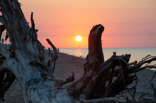 Amanecer en la playa tras tronco arrastrado por temporal Gloria.