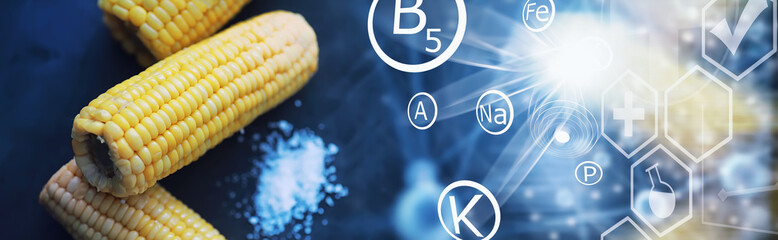 Freshly made fragrant ear of corn with salt. Farm snack of fresh corn. Healthy breakfast and healthy lifestyle concept.