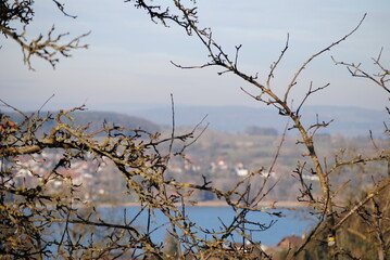 See und dorf durch äste