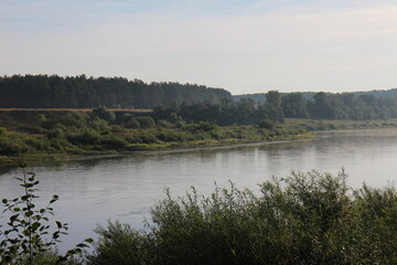 Bushes and trees by the river in summer in the village