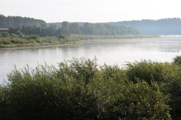 View of the misty river from the morning in summer