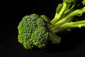 broccoli on black background