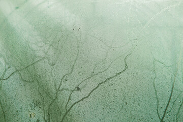 Art tone abstract pattern light green nature texture background