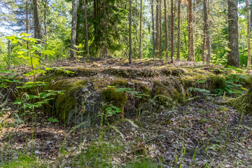 Remains of foundations of Finnish houses in the Leningrad region