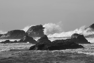 Fototapeta na wymiar Surf breaking on a rocky shore