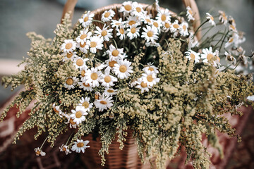 A bouquet of fresh daisies in a wicker basket. Selective focus