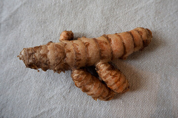 a whole turmeric root on a background of gray linen fabric top view . kitchen herbs