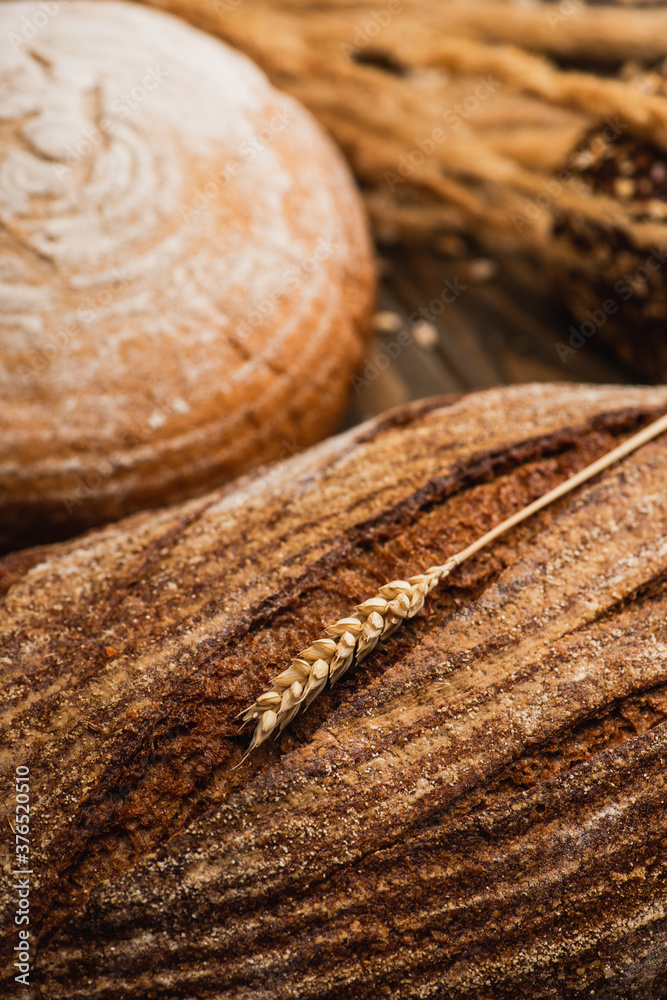 Poster selective focus of fresh baked bread loaves with spikelet