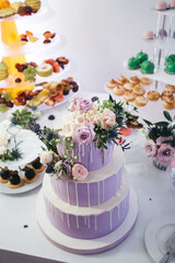 Front view of beautiful decorated with rose flowers wedding cake in dim lavender color, yummy desserts and cupcakes on candy buffet. Complicated delicious french recipe for pro. Concept of calories.