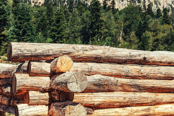 Wooden house made of logs at the initial stage of construction. Forest in the background. Construction and structures