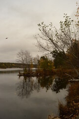 Beautiful yellow, orange and red autumn colors during fall in Sweden