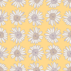 Garden Marguerite vector repeating pattern. Cute white flower seamless illustration background.