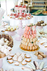 Front view of table catering with delicious french mousse desserts and macarons made of almond flour and coconut milk. Healthy wedding candy bar. Vegetarian celebration. Concept of calorie and diet.