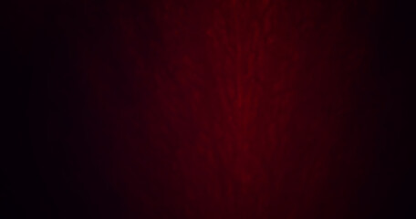 Macro shot of a flower petal with splashes and drops of water. Texture of leaf and petal on a...