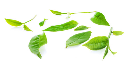 Tea leaves isolated on white background