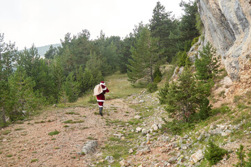 Fototapeta na wymiar santa claus walking in the middle of the forest