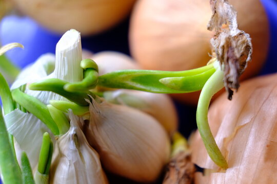 「154」の画像 1,135 件の Stock 写真、ベクターおよびビデオ Adobe Stock