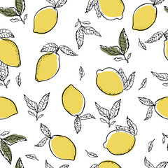 Fresh lemon fruits pattern of vector illustrations with leaves on white background.