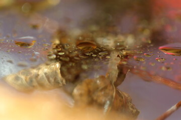 moments under the sun light