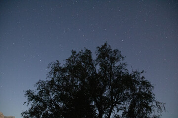 Fototapeta premium starry night in the swiss alps