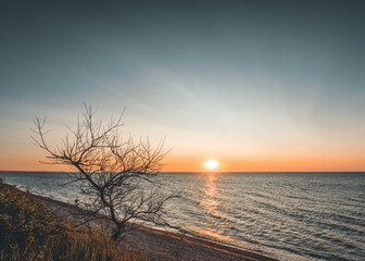 Sonnenuntergang im Gespensterwald an der Ostsee