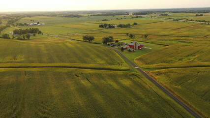 Aerial view of american Midwestern farm, corn field at harvesting season (September). Rural...