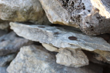 Coins placed on native rock wall in Kansas for good luck