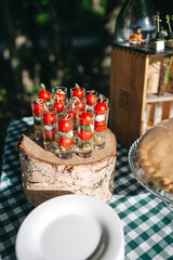 Front view of delicious appetizer of tomatoes and mozzarella on wooden tray on open air birthday buffet on sunny day. Tasty wedding snack bar, catering. Concept of healthy nutrition and simple recipe.