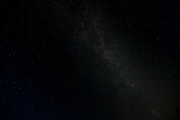 Starry sky and Summer meadow with trees. Summer night. The milky way over the field.