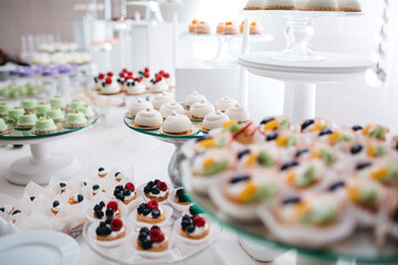 Fototapeta na wymiar Front view of delicious desserts, cupcakes, mousse dessert, tartlets on white background. Tasty wedding candy bar decorated with berries and fresh fruits, luxury all inclusive. Concept of yummy food.